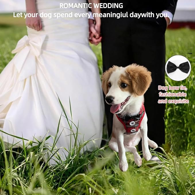 Dog Tuxedo for Wedding, Formal Pet Suit with Bow Tie and Leash, Adjustable Dog Costume for Small Medium Large Dogs, Birthday Christmas Halloween Party Apparel, M（8-14LB）-PurrikoPets