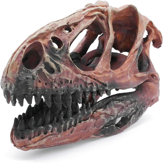 Fish Hideout Aquarium Décor Decorations Dinosaur Skull Fish Tank Decor Cave Dinosaur Skull Betta Animal Halloween Large Tarantula Reptile Bones Snake for Terrarium Ornament-PurrikoPets