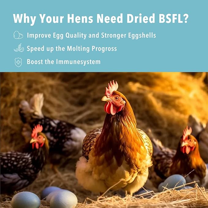 10lb Dried Black Soldier Fly Larvae Treat for Chickens More Calcium Than Mealworms,for Laying Hen,Wild Birds(10 Pound)-PurrikoPets