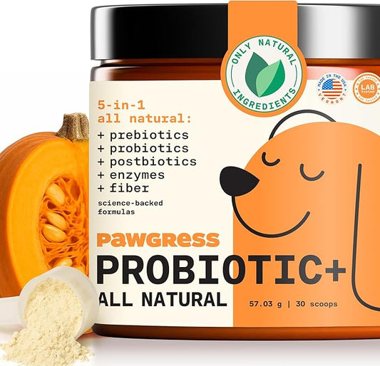 5-in-1 Dog Probiotic Powder – 100% Natural Gut Health Support with Prebiotics, Postbiotics & Enzymes – Crafted by Dog Nutritionist Kayla Kowalski, Made in USA – 30 Scoops-PurrikoPets