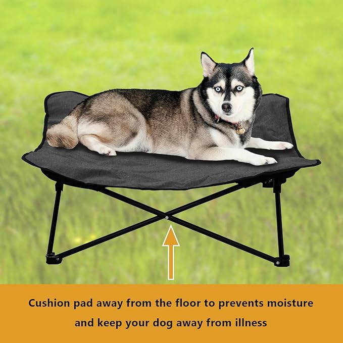Elevated Dog Bed, Portable Raised Pet Cot for Outdoor and Indoor Folding Dog Cot Bed with Padded Filling Carrying Bag Included Pet Raised Travel Lounger for Camping Traveling (36x36x12inch)-PurrikoPets