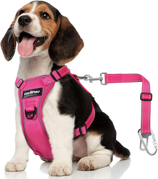 Dog Seat Belt Harness for Car, Dog Car Harness Adjustable Mesh Breathable & Dog Seatbelt Safety Tether with Elastic Bungee for Small Medium Large Pets(Rose, M)-PurrikoPets