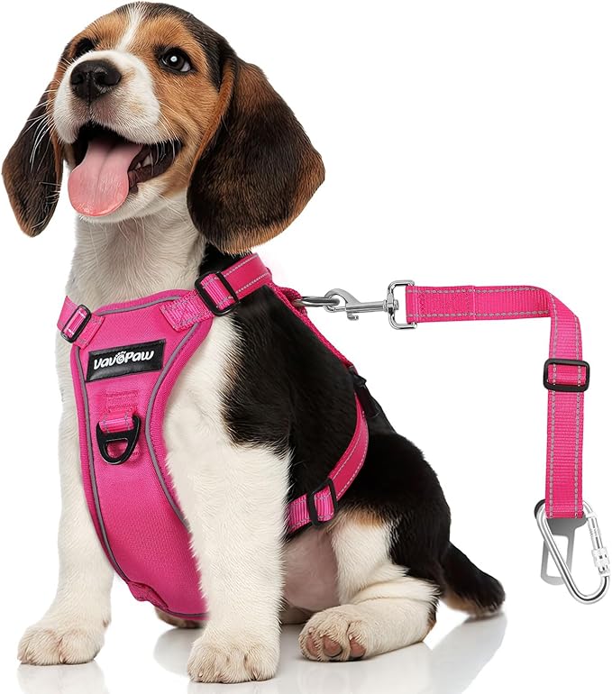 Dog Seat Belt Harness for Car, Dog Car Harness Adjustable Mesh Breathable & Dogs Seatbelt Safety Tether with Elastic Bungee for Small Medium Large Pets(Rose, S)-PurrikoPets