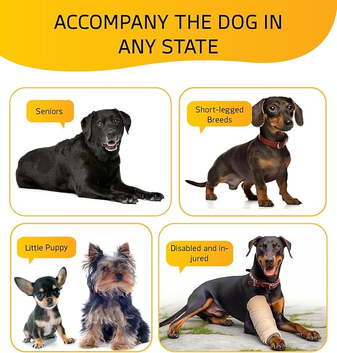 Dog Stairs for Bed, Dog Steps for Bed Couch Sofa, 35D Foam Pet Steps for Small Dogs and Cats, Extra Wide Pet Stairs with Non-Slip Bottom Grey, 3 Steps-PurrikoPets