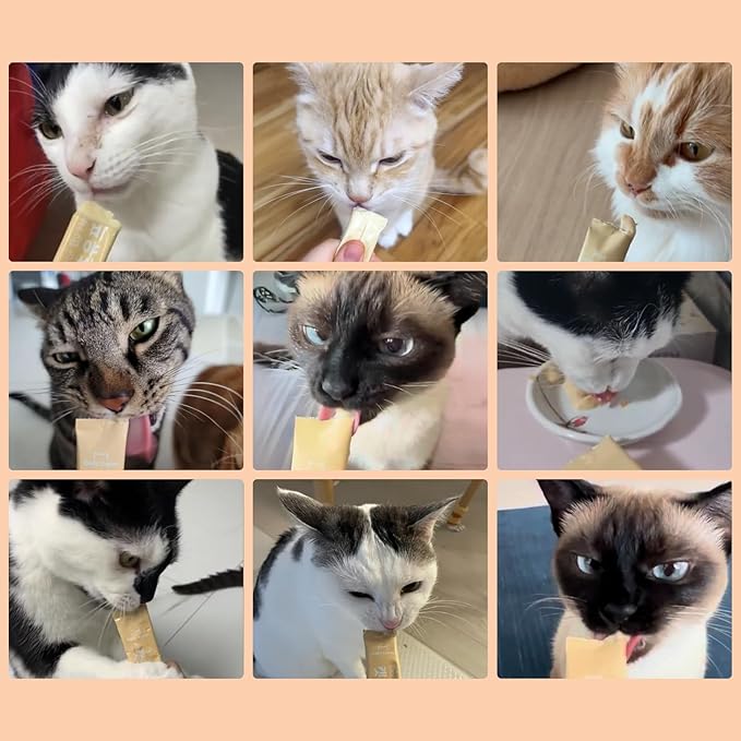 Dr.by Cat Colostrum Protein Cat Supplement Immune Support Muscle Growth, Gentle on Digestion for Kittens, Adult&Senior Cats with Goat Milk, Whey Protein Isolate, Colostrum Lickable Formula-PurrikoPets