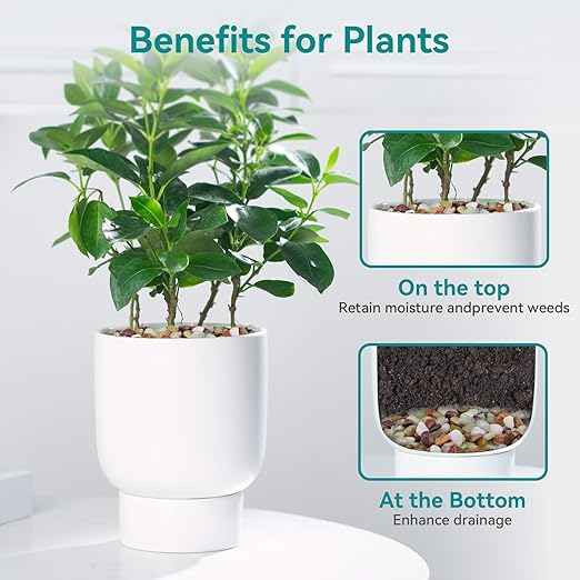 5lbs Pebbles for Indoor Plants, 3/8 Inch Small Rocks for Potted Plants, Succulents, Vase Fillers, Cactus Planters, Bird Bath, Fountain, Outdoor Garden Landscaping-PurrikoPets