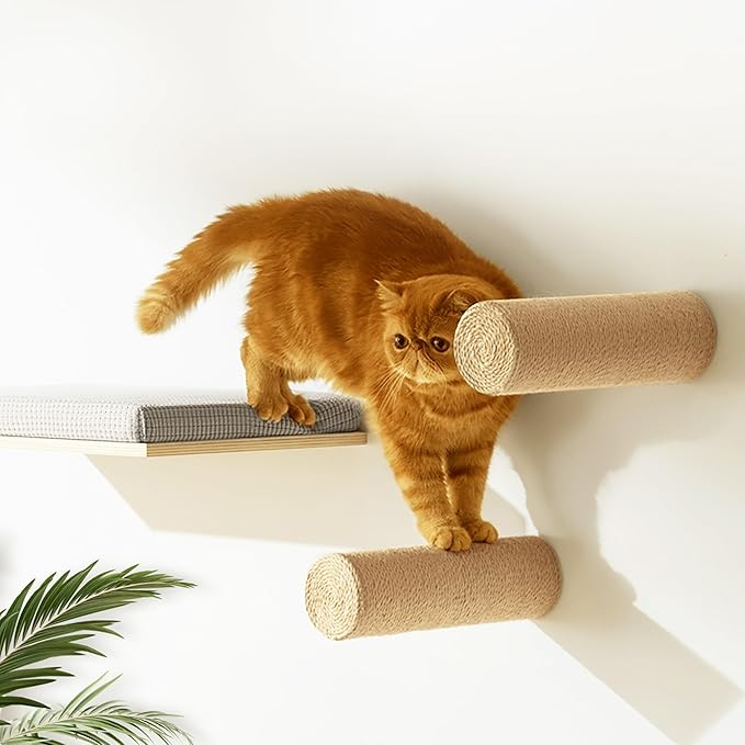 2-Pack Sisal Wall-Mounted Cat Climbing Wall Steps, Cat Wall Steps/Stairs with Sisal Scratching Surface, Wall Shelf Furniture for Climbing & Play for Kittens & Cats, Hidden Mounts-PurrikoPets
