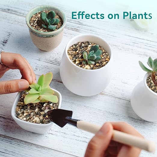 2.5 lbs Small Rocks for Plants, 1/5 Inch Gravel for Plants Drainage, Decorative Potting Pebbles for Indoor Plants, Vases, Bamboo, Succulent, Terrarium, Crafts, Cactus-PurrikoPets