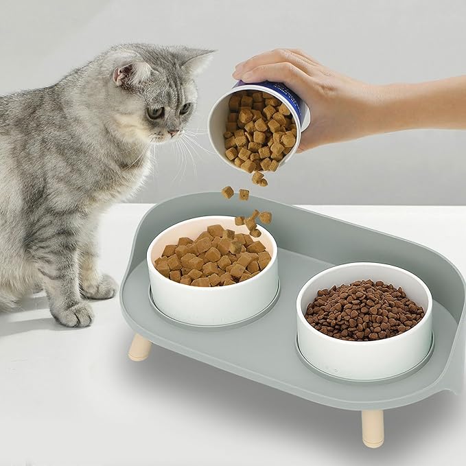 Elevated Dog Bowls Set, Ceramic Pet Food & Water Bowls with Non-Slip Stand, No Spill Design for Cats/Small Medium Dogs Gray-PurrikoPets