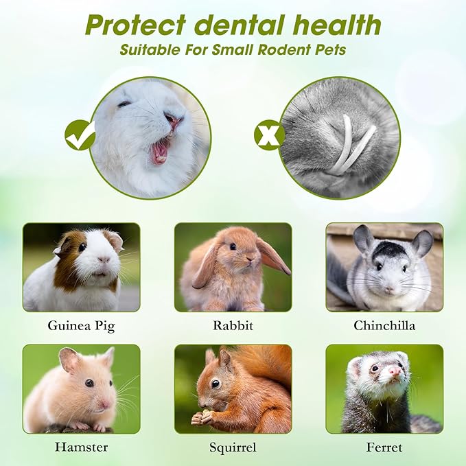 Abizoo Natural Rabbit Chew Toys,10 Sticks Sweet Bamboo Sticks for Rabbits with Petals,Bunny Chew Toys for Guinea Pig,Chinchilla,Hamster Treats Pet Wood Chews Snack Healthy Small Animals Toys for Teeth-PurrikoPets