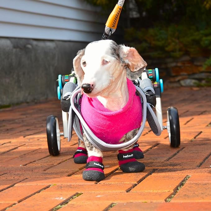 Double Dipped Thick Textured Waterproof Cotton Dog Socks | PawFlex Comfy Pawz Soft Indoor/Outdoor Pet Booties | Non-Slip Silicone Grip at Inner Wrist for No Twisting or Sliding Off| Adjustable Strap-PurrikoPets