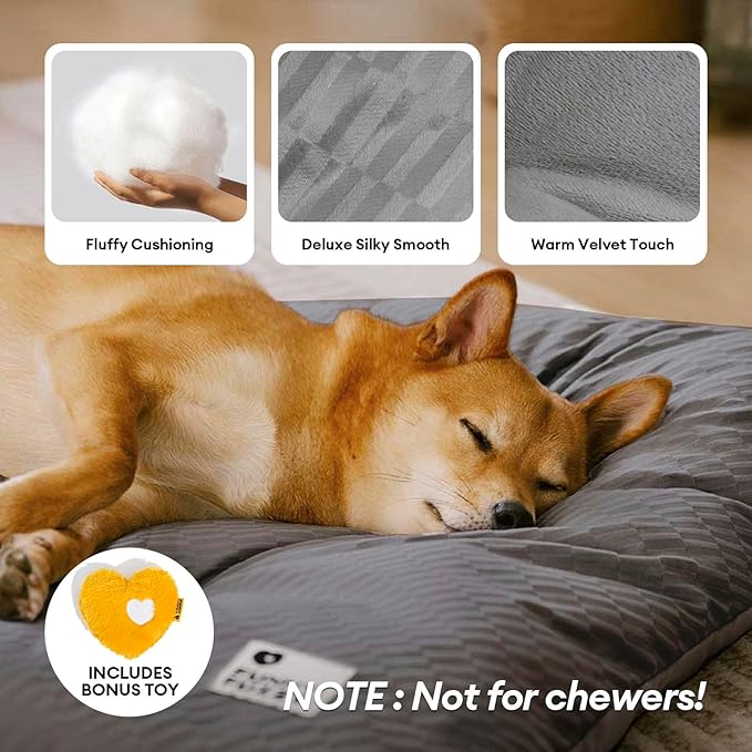 FUNNY FUZZY 35×23 Washable Dog Crate Bed,Orthopedic Cushion Mattress for Large Dogs-Fits 36 Inch Dog Crates, Reversible,Durable & Comfortable Pet Bed,L,Charcoal Grey-PurrikoPets