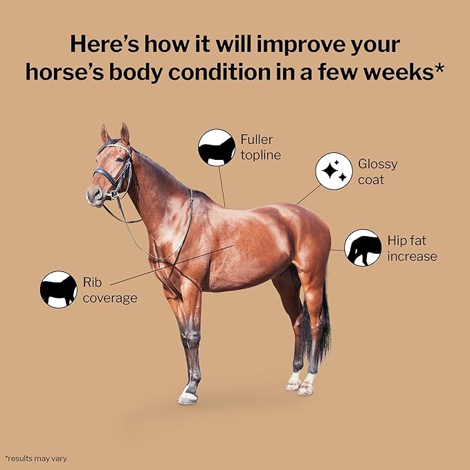 Formula 707 Weight Gain Crumble Equine Supplement, 7 lb Bag – Palatable, Calorie-Rich Nutritional Support for Hard-to-Keep and Senior Horses-PurrikoPets