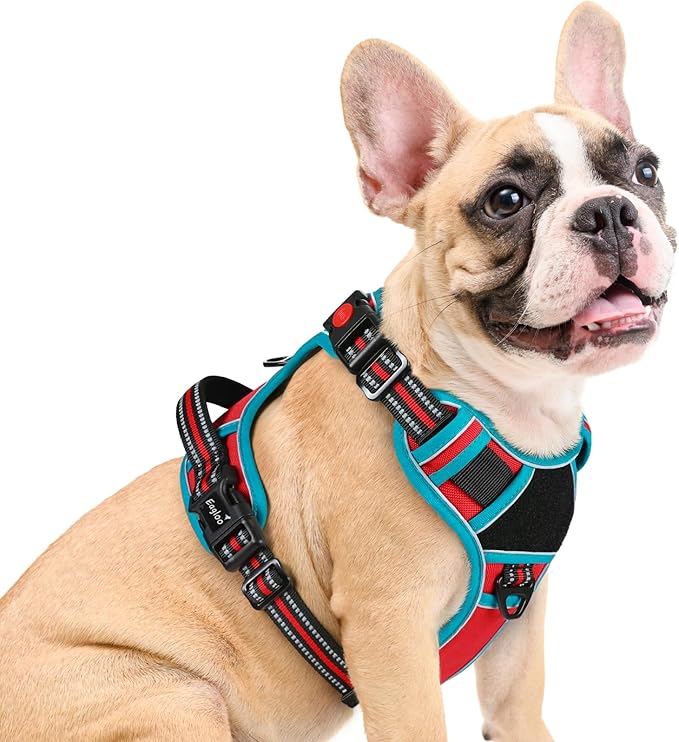 Eagloo Dog Harness Medium Sized, Easy Wearing with 3 Buckles, Adjustable No Pull Pet Harness with 2 Rings for Walking, No Chock Reflective Soft Padded Vest with Control Handle, Red & Teal, M-PurrikoPets