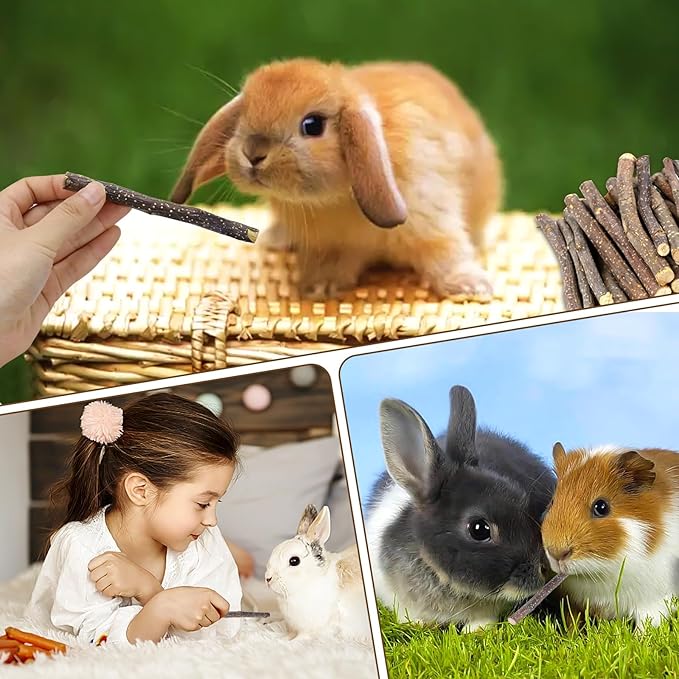 900g/2lb Small Apple Sticks Animals Molar Wood Treats Toys for Rabbits Chinchillas Guinea Pig Hamster Gerbil Parrot Bunny and Small Animals Chew Stick Toys Treats-PurrikoPets