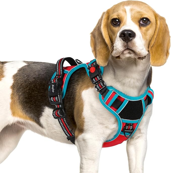 Eagloo Dog Harness Small Sized, Easy Wearing with 3 Buckles, Adjustable No Pull Pet Harness with 2 Rings for Walking, No Chock Reflective Soft Padded Vest with Control Handle, Red & Teal, S-PurrikoPets