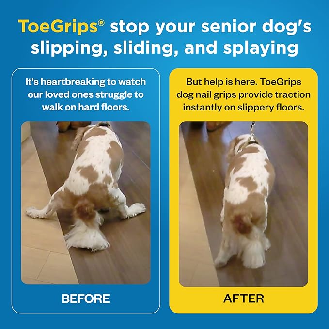 Dr Buzby's XXXLarge ToeGrips for Dogs - Instant Traction on Wood/Hardwood Floors - Anti Slip Relief - Grippers for Senior Dogs - Stop Sliding Instantly - Rubber Nails for Paws - 1 Pack (20 Grips)-PurrikoPets