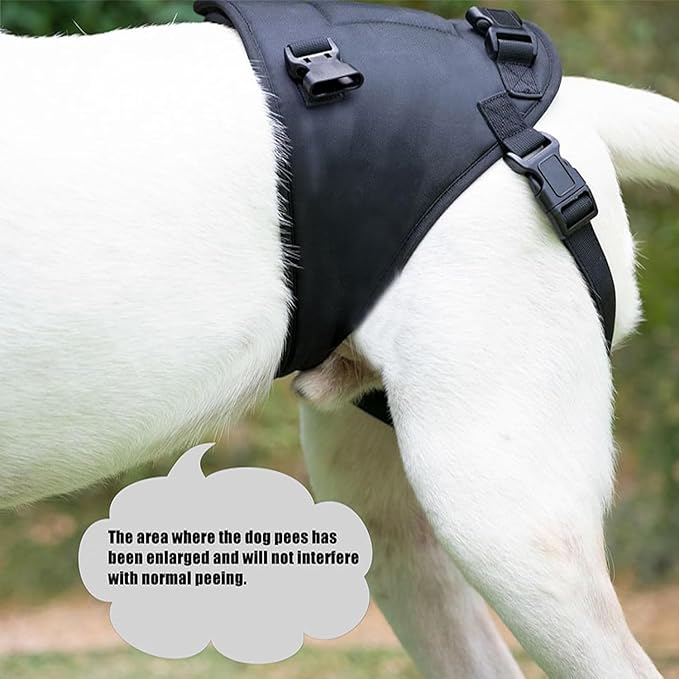 Dog Lift Harness for Dogs with Disabled Arthritis and Weak Back Legs, humanized Design with Comfortable Materials, Adjustable Back Legs and Straps, Suitable for Helping Dogs to Recover and Walk. (L)-PurrikoPets