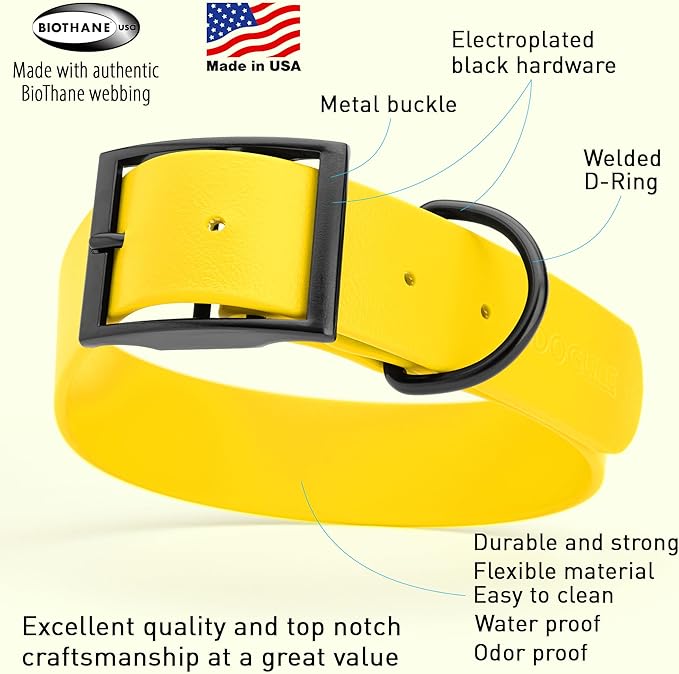 Dogline Biothane Waterproof Dog Collar Strong Coated Nylon Webbing with Black Hardware Odor- Proof for Easy Care Easy to Clean High Performance Fits Small Medium or Large Dogs, Lemon Yellow-PurrikoPets