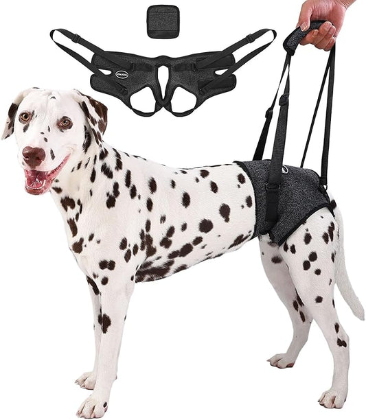 Dog Sling for Medium Large Dog Rear Leg, Lift Harness Provide Support with Muscle Atrophy and Joint Problems for Elderly Injured Arthritic Pet, Dog Weak Rear Legs Provides Rehabilitation Aid-PurrikoPets