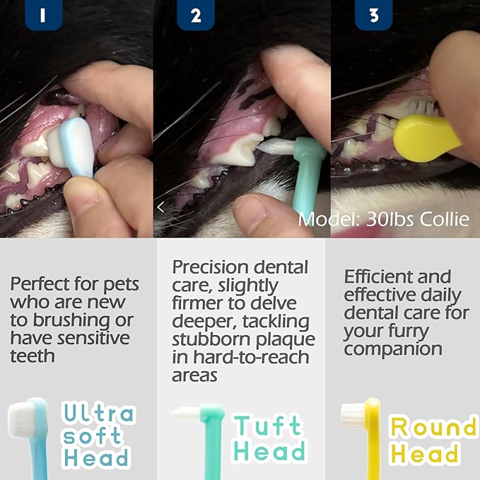 Dog Toothbrush Small Breed Cat Toothbrushes, Puppy Tooth Brushing Kit, Tiny Dog Tooth Brush, Micro Head Deep Teeth Cleaning Brushes for Mini Pet Doggie Kitten, Soft Bristles, 5 PCS-PurrikoPets