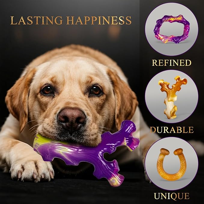 6 Pack Indestructible Dog Toys for Aggressive Chewers, Durable Nylon Bone for Large Dogs, Dog Toy for Aggressive Chewer Large Breed, A Mixed Special Edition Set-PurrikoPets