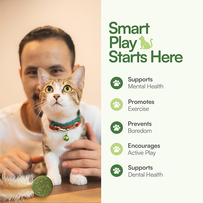 3 Pcs Catnip Balls with Feathers – Natural Catnip Toy for Play, Stress Relief & Healthy Enrichment Interactive Cat Toys Perfect for Indoor Cats & Kittens, Encourages Active Play & Wellness-PurrikoPets