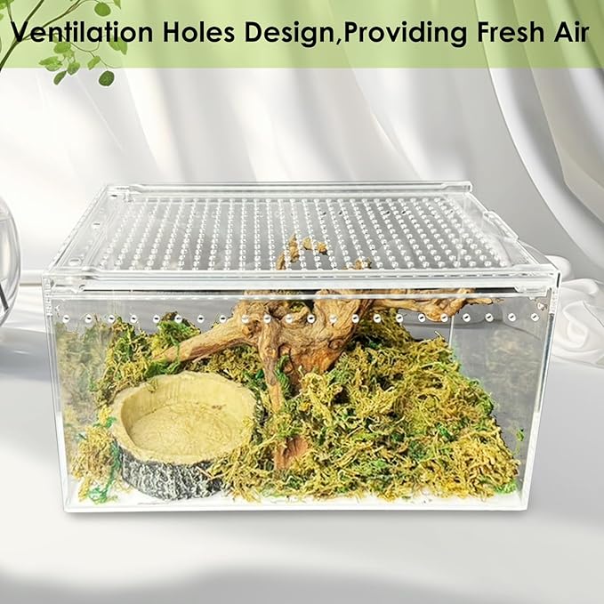 Acrylic Reptile Terrarium Enclosure 9.8" x 5.9" x 5.9" Magnetic Tarantula Breeding Box Transparent Insect Habitat for Jumping Spider Hermit Crab Lizard Sling Isopods Horned Frog Snake Gecko-PurrikoPets
