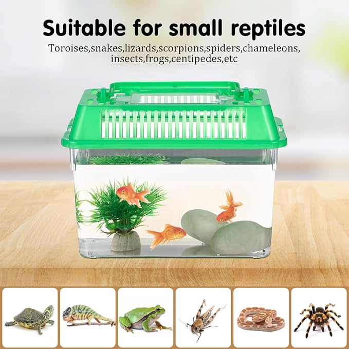 5pcs Small Fish Carrier with Breathable Lids, Portable Betta Fish Tank, Clear Breeding Boxes for Lizard, Turtle, Tarantula（Assorted Color）-PurrikoPets