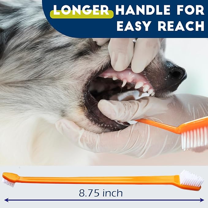 200 Pcs Dog Toothbrush Cat Tooth Brushes Bulk, Double Sided Brushing Kit, Teeth Cleaning Kit Soft Bristles Long Handle, Pet Tooth Brush for Small to Large Dog, Cat, Puppy & Kitten, 10 Colors-PurrikoPets