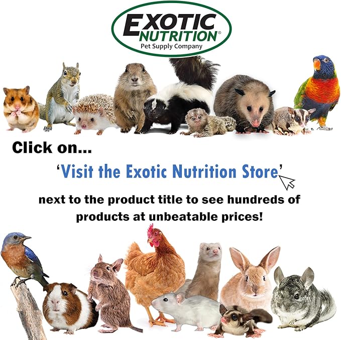 Exotic Nutrition Herbivore Treats 6 Pack - Healthy Assortment Small Animal Pet Treat - Squirrels, Guinea Pigs, Rabbits, Chinchillas, Prairie Dogs, Degus, Hamsters, Gerbils, Herbivores-PurrikoPets