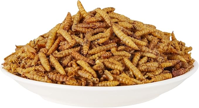 Dried Black Soldier Fly Larvae 20LBS, 85X More Calcium Than Mealworms High-Protein BSF Larvae Chicken Treats Non-GMO BSFL for Chickens, Hens, Ducks, Wild Birds-PurrikoPets