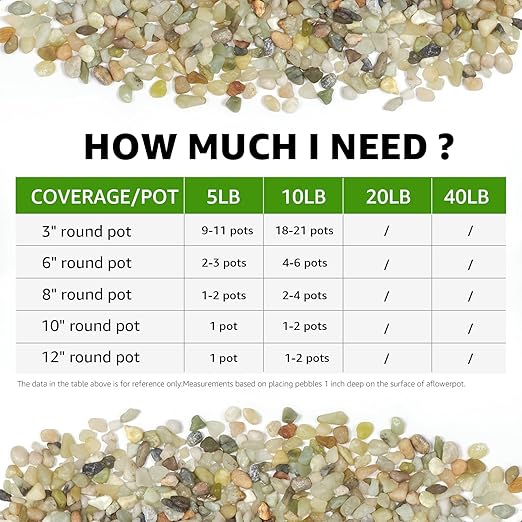 10 LBS Natural Decorative Jade Stones – Ideal for Plants, Succulents, Aquariums, Vases, and Garden Pots. 1/5 Inch Natural Stones Enhance Drainage and Soil Moisture Balance (Jade, 10 Pounds)-PurrikoPets