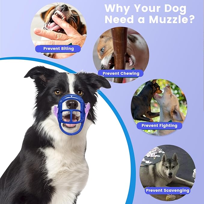 Dog Muzzle, OKKIC Basket Muzzle Anti Biting Chewing, Sturdy Lightweight Muzzle Allows Panting Drinking,Muzzle for Small Medium Large Dogs, Suitable for Grooming Trimming Training (Blue, Size3)-PurrikoPets