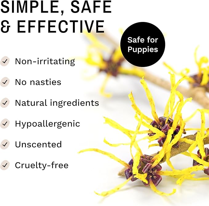 Eye Envy Fresh Ear Cleaning Wipes for Dogs. Made in The USA from Natural Ingredients. Unscented. Prevents Infections. Safe and Non-Irritating. Removes Dirt, Debris, and Wax buildup. 60 Count.-PurrikoPets