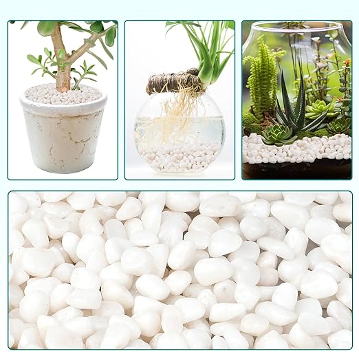 5 lbs Small White Rocks for Planters, 3/8" White Pebbles for Vases, Decorative Small Stones for Plants, Succulents, Bamboo, Terrarium, Landscape, Garden-PurrikoPets