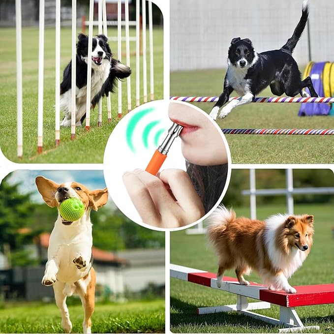 3 PCS Dog Whistles Set, Adjustable Recall Dog Training Whistle Silent Dog Whistle to Stop Barking with Lanyard,Dog Clicker(Orange)-PurrikoPets