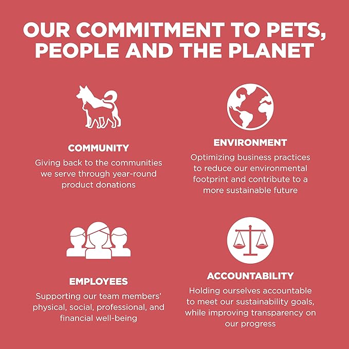 Go! Solutions Sensitivities Limited Ingredient, Grain-Free Dry Cat Food, Salmon Recipe for Sensitive Stomach, 12 lb Bag-PurrikoPets