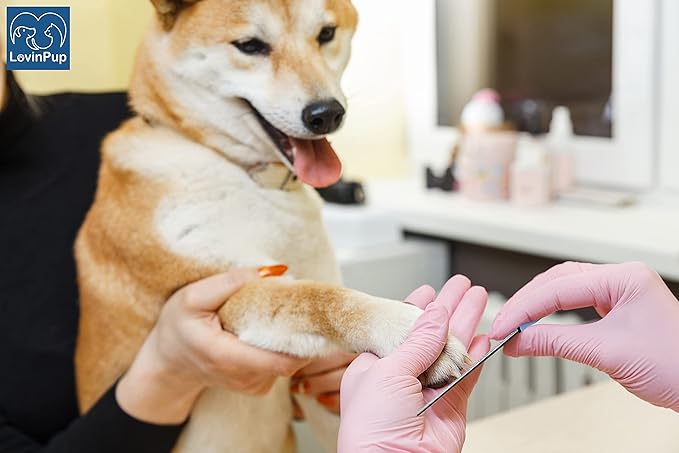Dog Nail Filer, Professional Nail Grooming Tool, Dog and Cat Nail Files, for Smoothing Rough Edges of Pet’s Nails, Best Nail Filer for Small/Large Dogs & Cats (3 Dog Nail Filers Set)-PurrikoPets