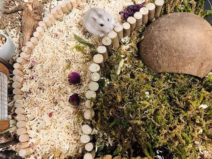 5L Forest Moss for Hamster Syrian Gerbils Bedding, Natural Moss Perfect for Potted Plants, Terrariums, Reptile Tanks and Live Creature Projects-PurrikoPets