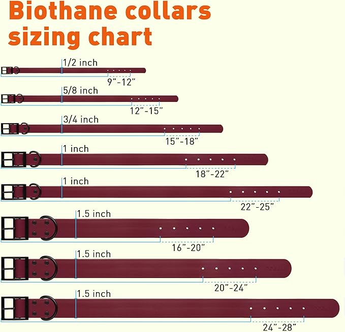 Dogline Biothane Waterproof Dog Collar Strong Coated Nylon Webbing with Black Hardware Odor- Proof for Easy Care Easy to Clean High Performance Fits Small Medium or Large Dogs, Merlot Burgundy-PurrikoPets