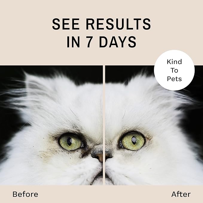 Eye Envy Tear Stain Wipes for Cats. Textured to Gently Clean, Treats The Cause of Staining. 100% Natural Formula. Recommended by Persian & Exotic Breeders, Vets, Groomers. USA Made. 60 Cat Eye Wipes-PurrikoPets