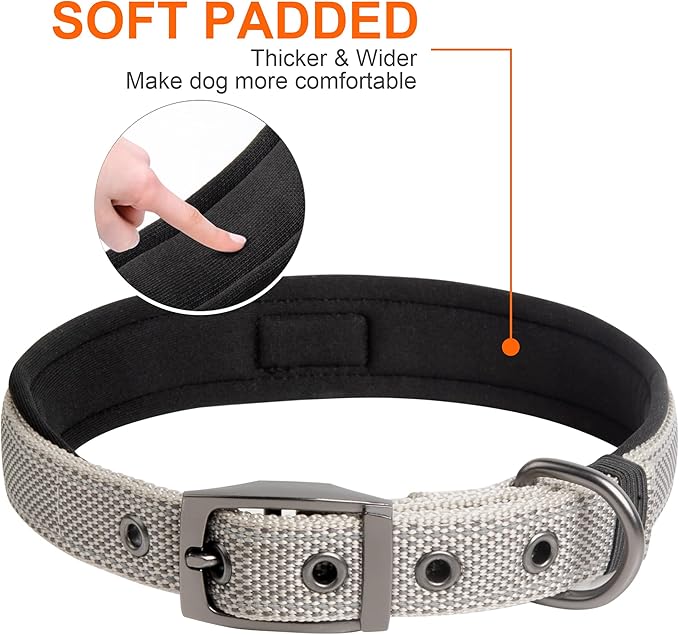 Fida Heavy Duty Dog Collar, Ultra Comfortable Soft Neoprene Padded, Adjustable Reflective Nylon Pet Collar with Durable Metal Belt Buckle for Medium Breeds (M, Grey)-PurrikoPets