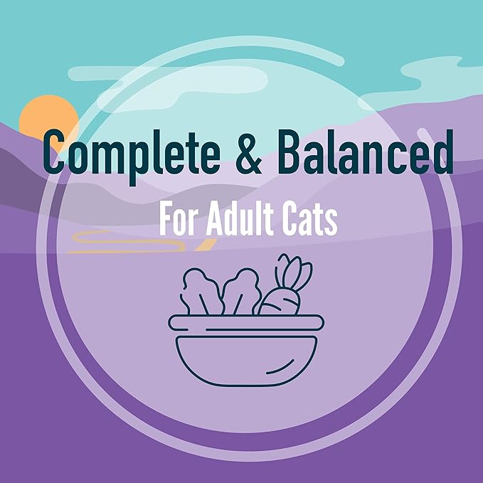 A Strong Heart Canned Wet Cat Food, Special Supper Dinner - 13.2 oz Cans (Pack of 12), Made in The USA with Real Turkey & Fish-PurrikoPets