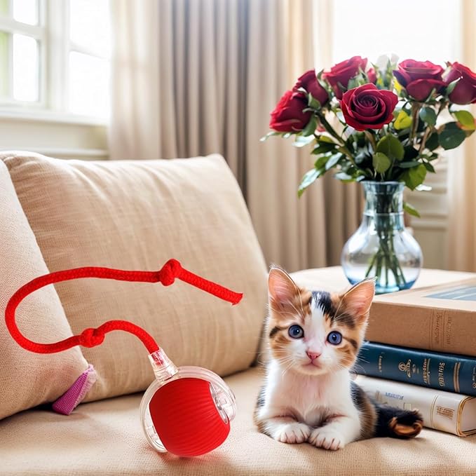 Electric Cat Toy - Automatic Rolling cat Toy with Motion sensors, Designed for Indoor Cats, Suitable for Solo Play (USB Rechargeable) (Red)-PurrikoPets