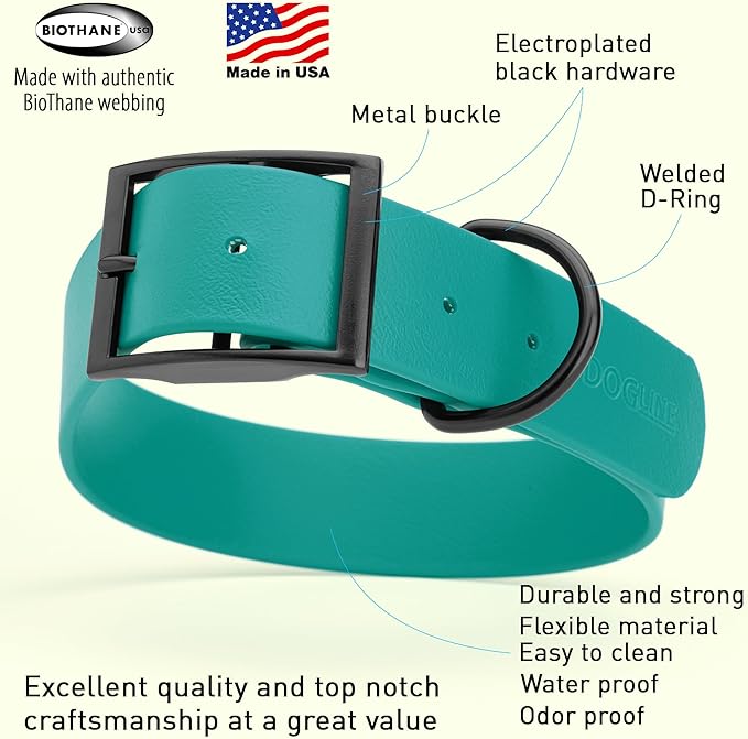 Dogline Biothane Waterproof Dog Collar Strong Coated Nylon Webbing with Black Hardware Odor- Proof for Easy Care Easy to Clean High Performance Fits Small Medium or Large Dogs, Blue Aqua-PurrikoPets