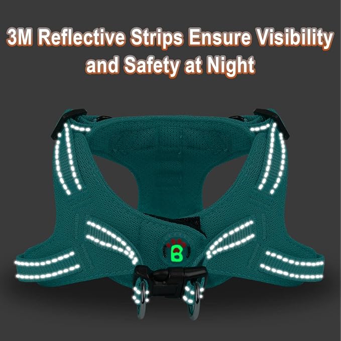 Dog Harness Step in Dog Vest Harness, Reflective Adjustable Puppy No Pull Harness Breathable Soft for Small and Medium Dogs Cats, Ocean Blue, XS-PurrikoPets