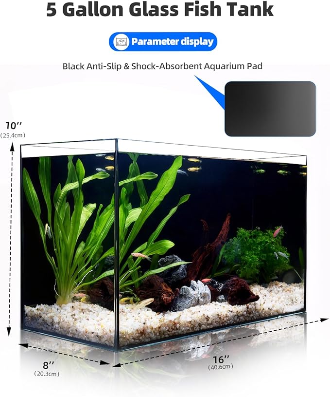 5 Gallon Clear Glass Fish Tank, Easy to Maintain Small Aquariumfor Betta, Goldfish, Snail,Shrimp and Aquatic Planting-PurrikoPets