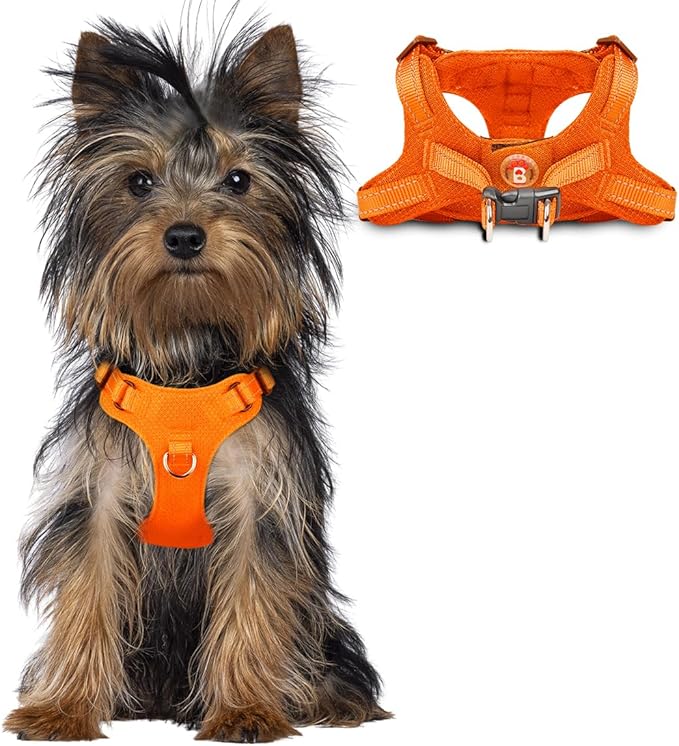 Dog Harness Step in Dog Vest Harness, Reflective Adjustable Puppy No Pull Harness Breathable Soft for Small and Medium Dogs Cats, Orange, XXS-PurrikoPets