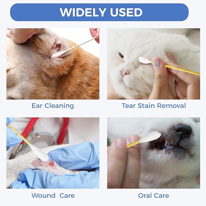 GOLD HONEY 6 Inch Large Cotton Swabs, 100PCS Dog Ear Swabs with Bamboo Handle for Dogs, Pet-Specific, Gentle Design, Lint-Free, Canine Cotton Stick Ear Cleaning-PurrikoPets